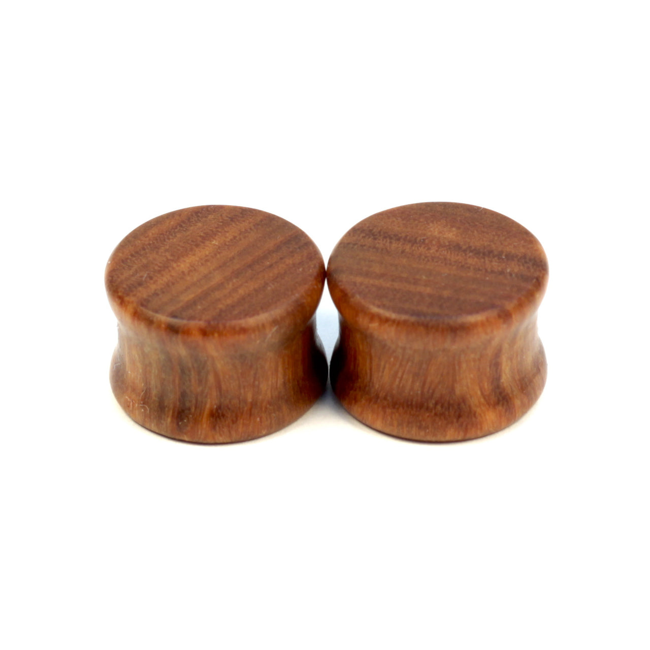 Lignum Vitae Solids - BC Plugs  - 2