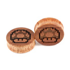 1up-CA - BC Plugs 